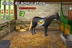Paard Pony - Paard in Galop for GBA screenshot