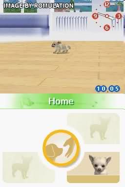 Nintendogs - Chihuahua & Friends  for NDS screenshot