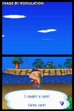 Animal Crossing - Wild World  for NDS screenshot