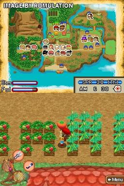 Harvest Moon DS - Island of Happiness  for NDS screenshot