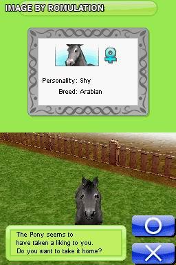 Petz My Horse Family  for NDS screenshot