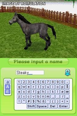 Petz My Horse Family  for NDS screenshot
