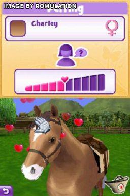 Pony Friends 2  for NDS screenshot