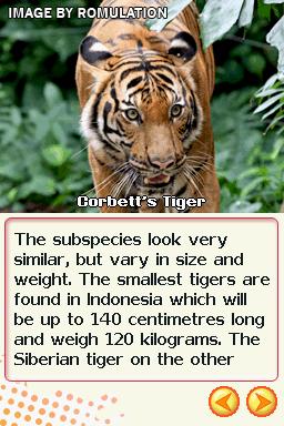 Animal World - Big Cats  for NDS screenshot