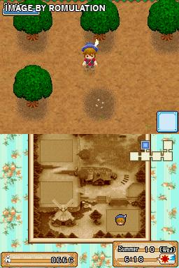 Harvest Moon DS - Grand Bazaar  for NDS screenshot