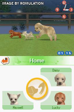 Nintendogs - Chihuahua & Friends  for NDS screenshot