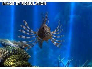 Fantasy Aquarium World for Wii screenshot