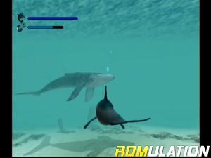 Ecco The Dolphin for Dreamcast screenshot