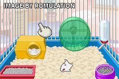 Pets Hamsters Life 2 for GBA screenshot