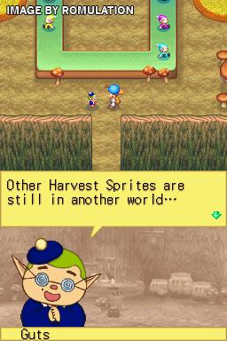 Harvest Moon DS  for NDS screenshot