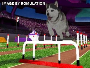 Petz Sports - Dog Playground for Wii screenshot